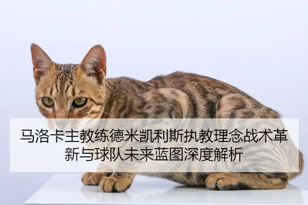 马洛卡主教练德米凯利斯执教理念战术革新与球队未来蓝图深度解析
