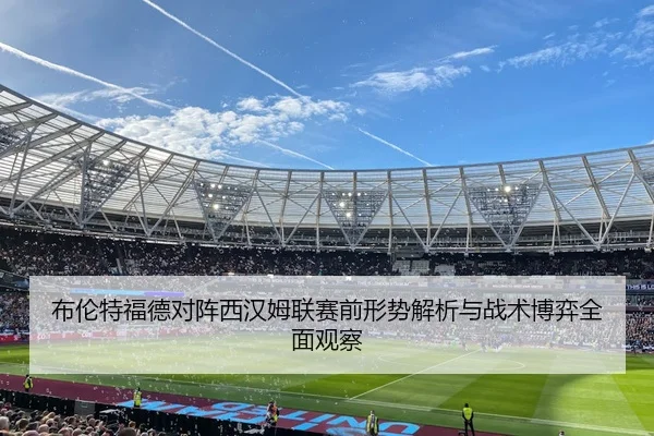 布伦特福德对阵西汉姆联赛前形势解析与战术博弈全面观察