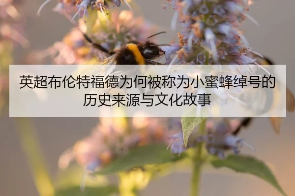 ying-chao-bu-lun-te-fu-de-wei-he-bei-cheng-wei-xiao-mi-feng-chuo-hao-de-li-shi-lai-yuan-yu-wen-hua-gu-shi-2-954.jpg