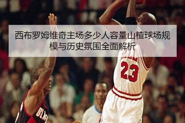 xi-bu-luo-mu-wei-qi-zhu-chang-duo-shao-ren-rong-liang-shan-zha-qiu-chang-gui-mo-yu-li-shi-fen-wei-quan-mian-jie-xi-2-919.jpg