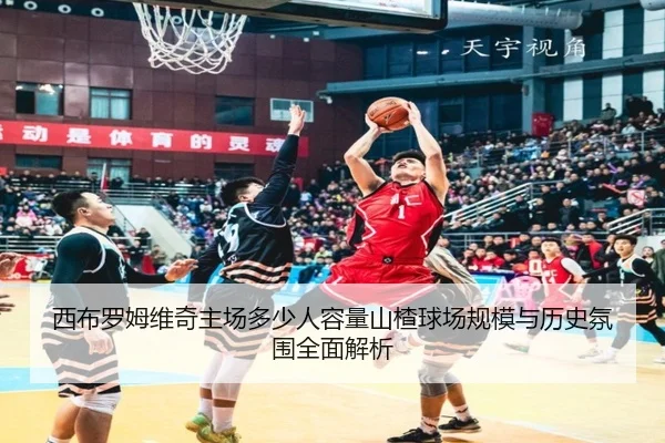 西布罗姆维奇主场多少人容量山楂球场规模与历史氛围全面解析